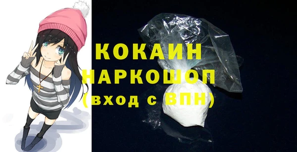 шишки Козельск