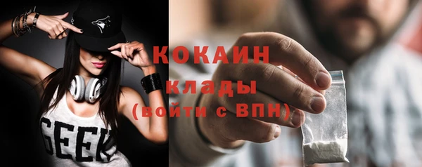 шишки Козельск
