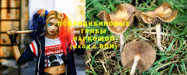 мдма Козловка
