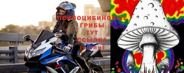 шишки Козельск