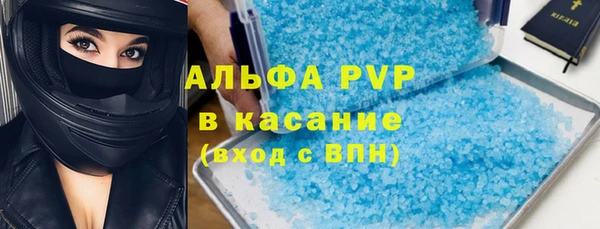 шишки Козельск