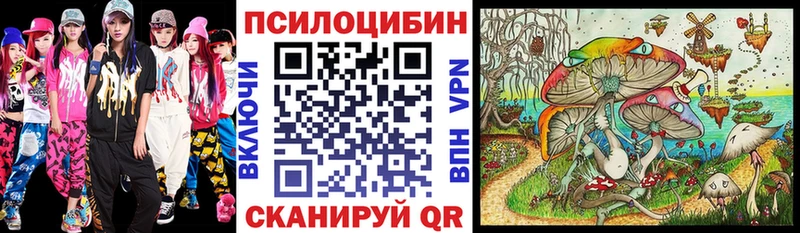 Купить закладки  Камышлов  Галлюциногенные грибы MAGIC MUSHROOMS 